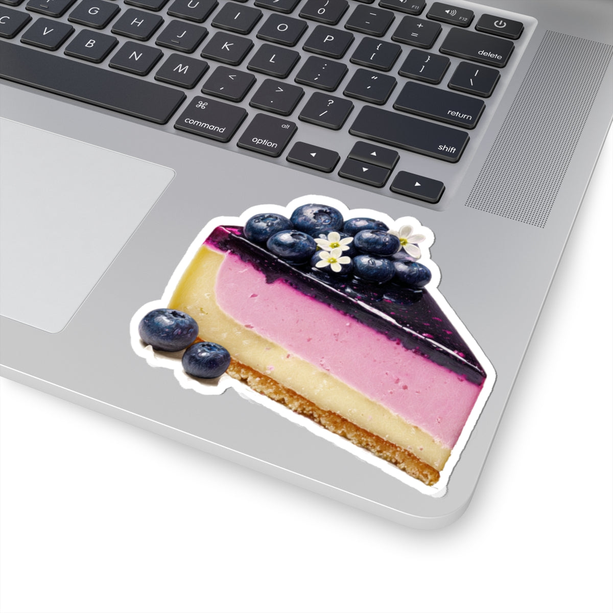 Blueberry Cheesecake Sticker
