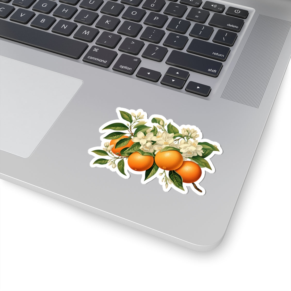 Oranges and Blossoms Sticker
