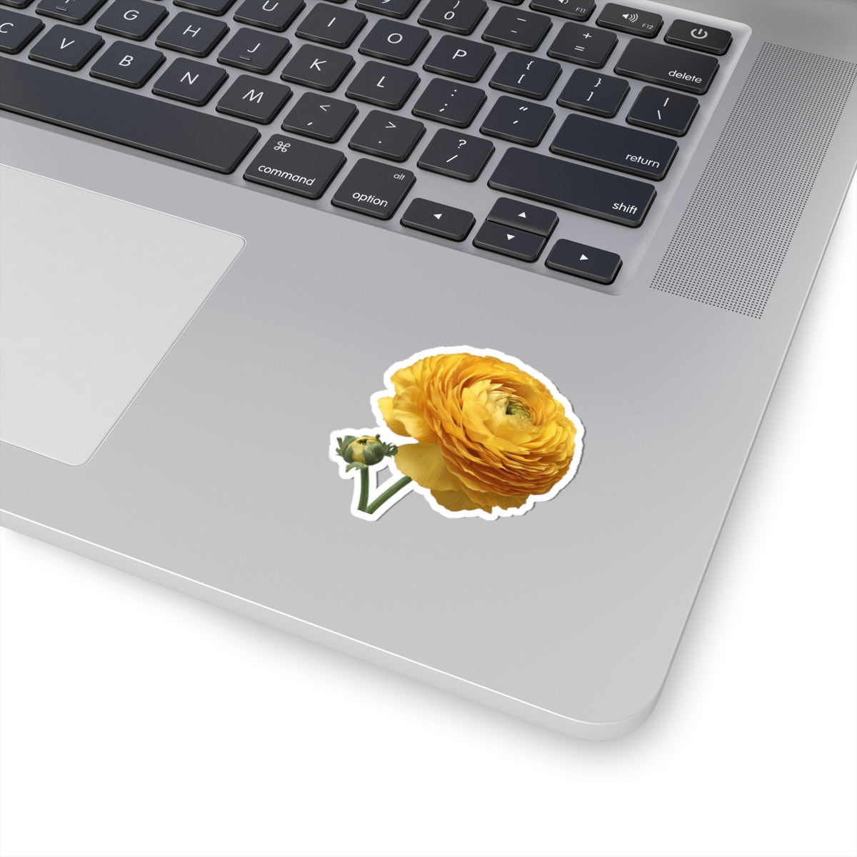 Yellow Ranunculus Sticker