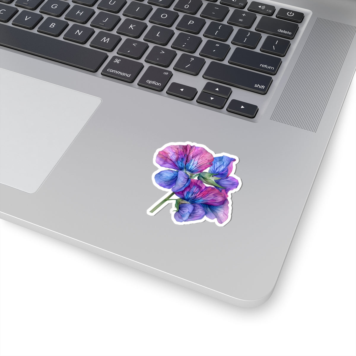 Sweet Pea Sticker