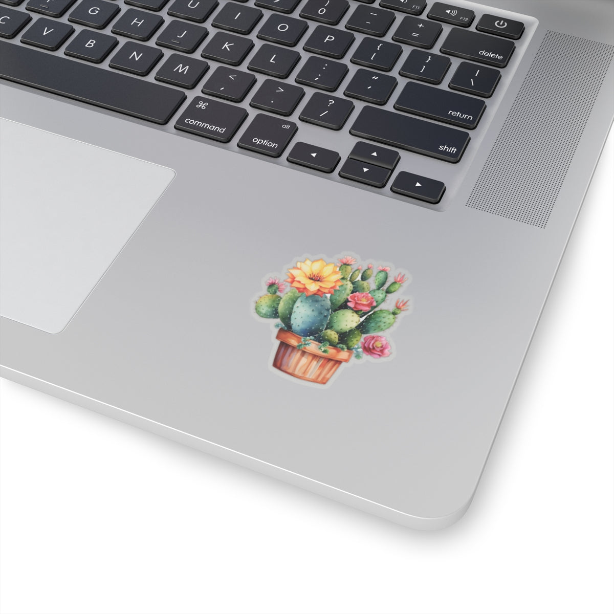 Cactus Sticker