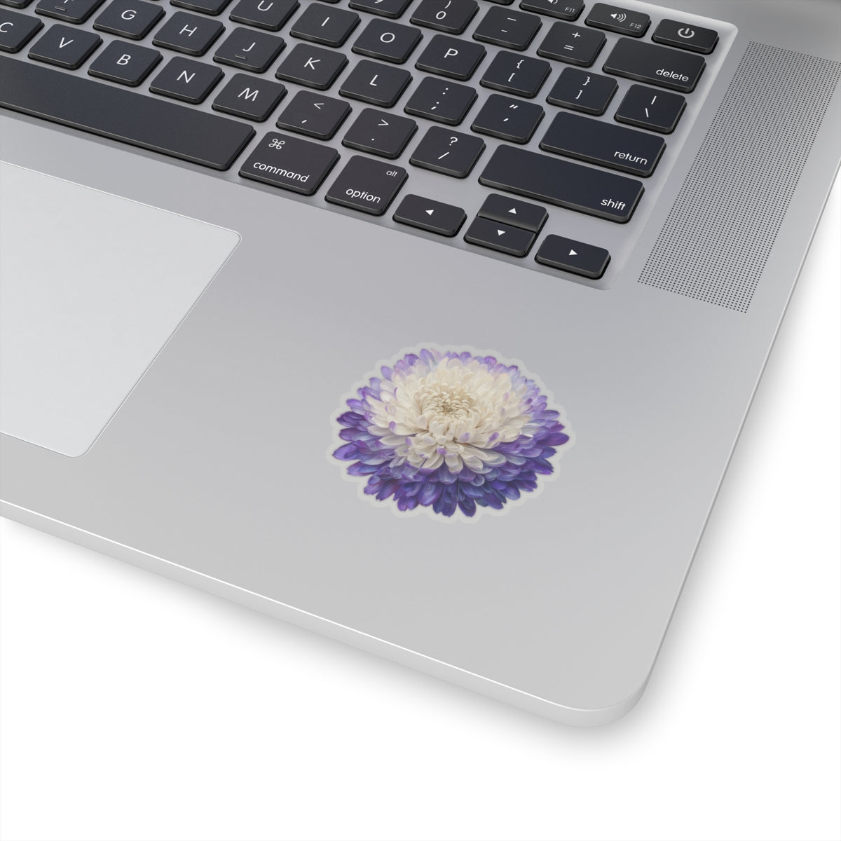 Purple and White Mum Sticker