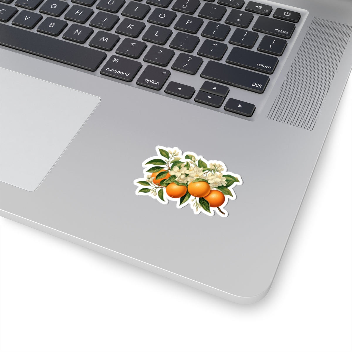 Oranges and Blossoms Sticker