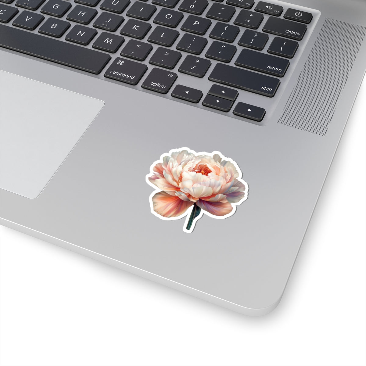 Pale Peach and White Peony Sticker