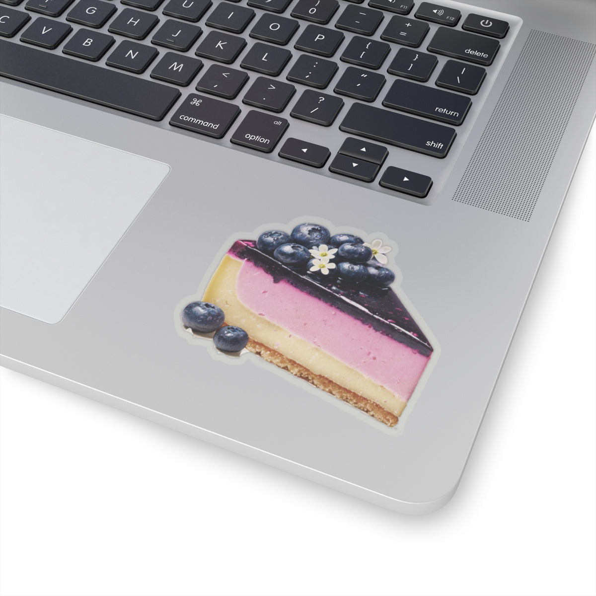 Blueberry Cheesecake Sticker
