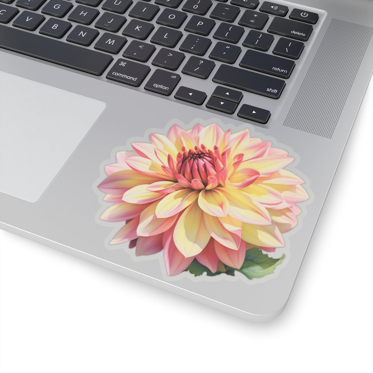 Pink and Yellow Dahlia Sticker