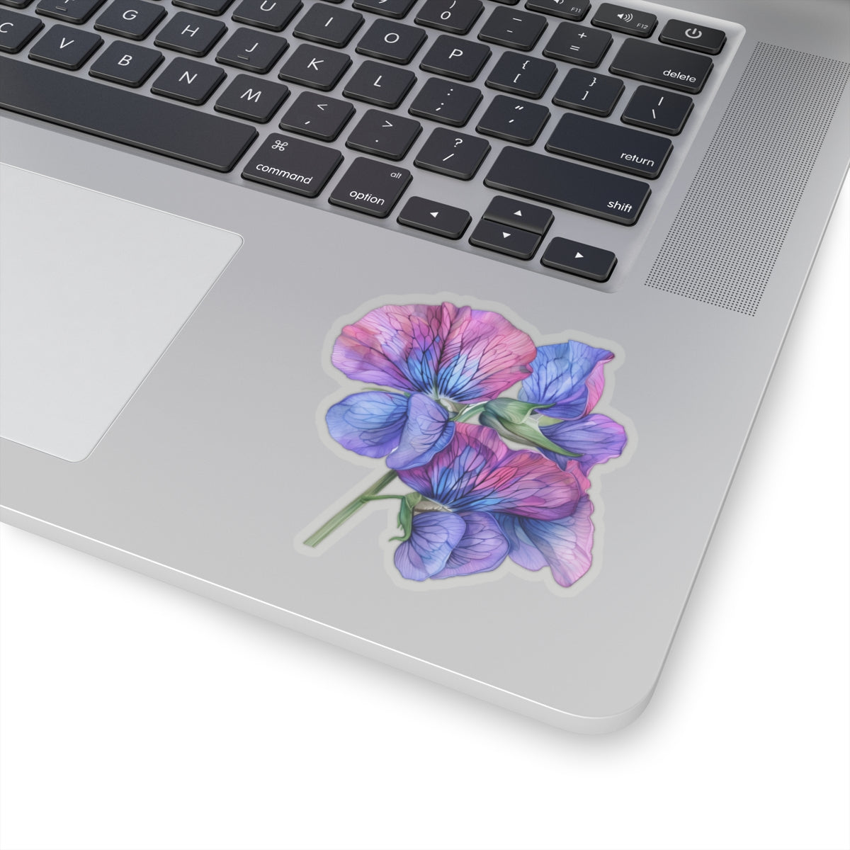 Sweet Pea Sticker