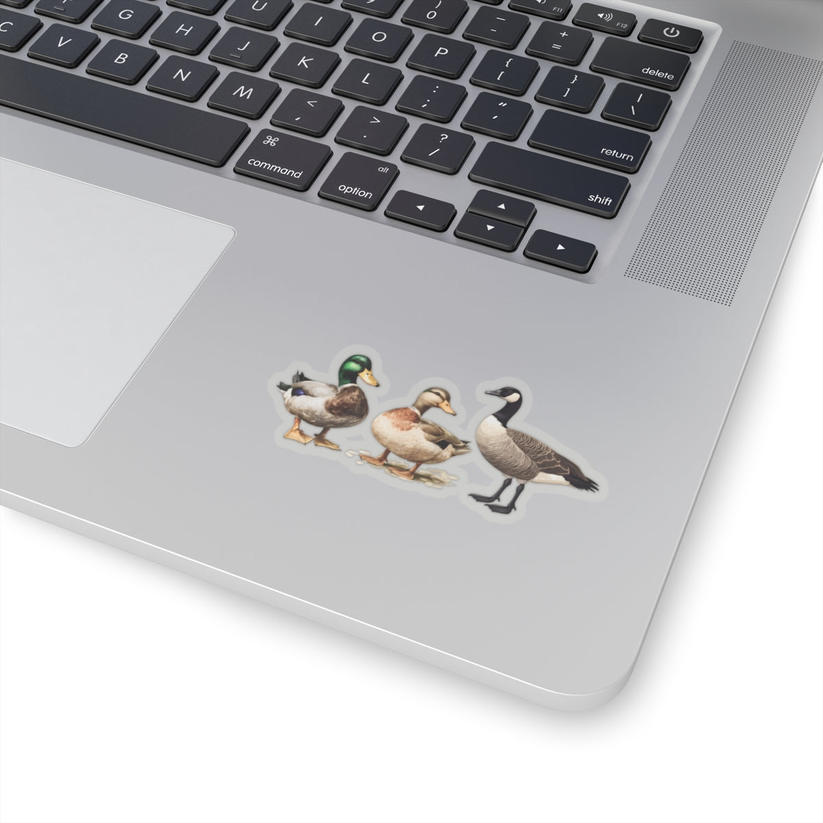 Duck Duck Goose Sticker