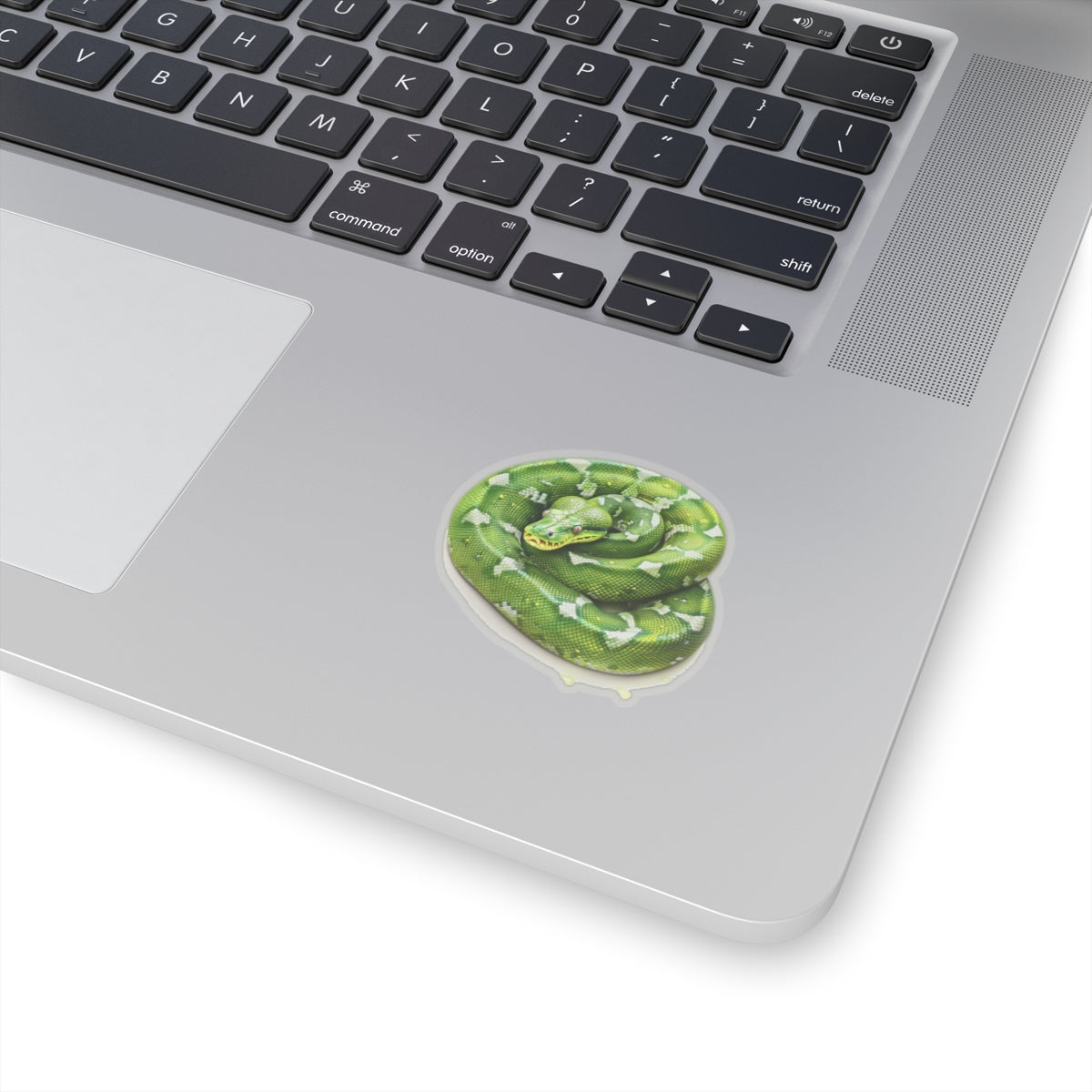 Green Snake Sticker