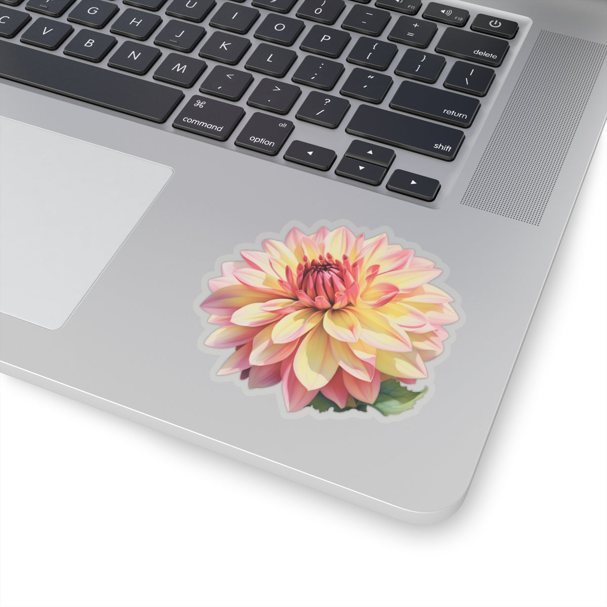 Pink and Yellow Dahlia Sticker