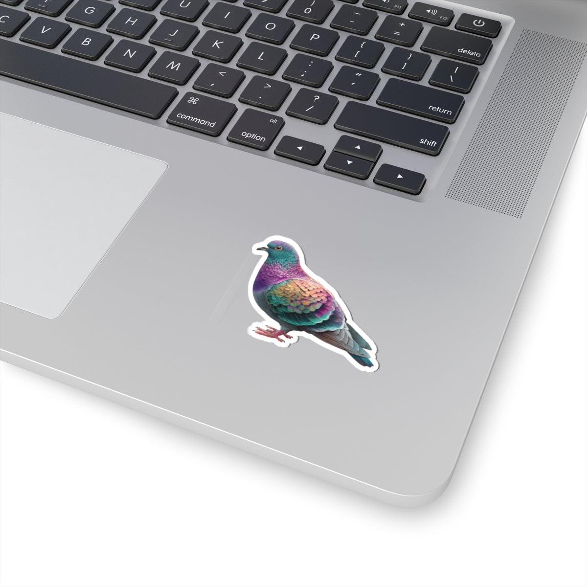 Pigeon Sticker