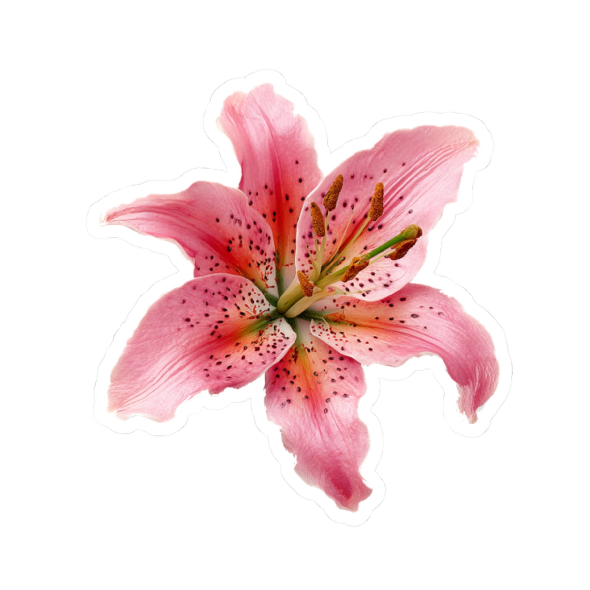 Pink Lily Sticker