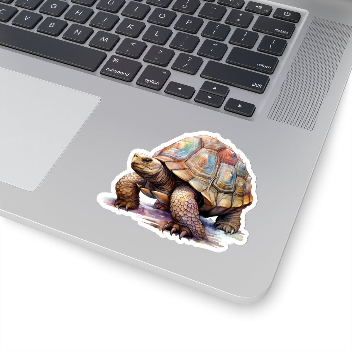Tortoise Sticker