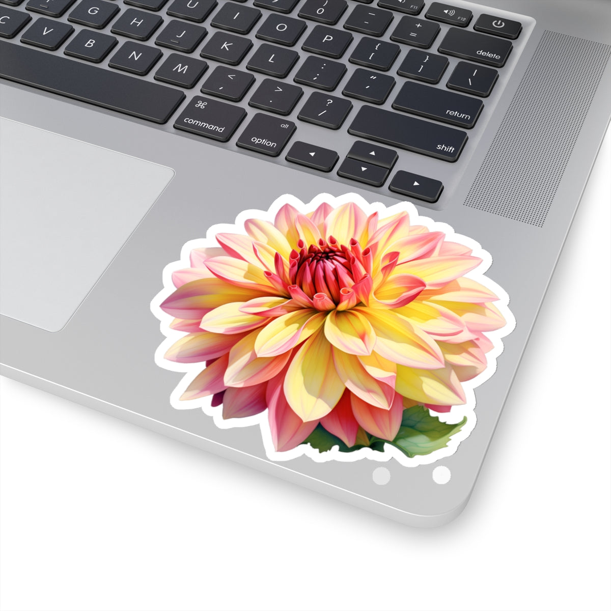 Pink and Yellow Dahlia Sticker
