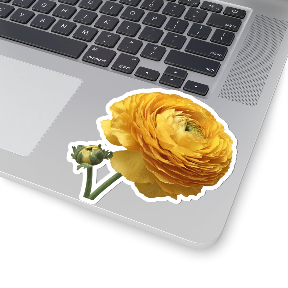 Yellow Ranunculus Sticker