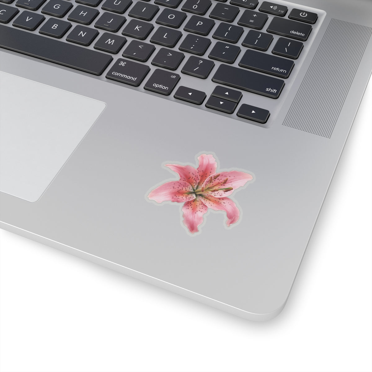Pink Lily Sticker