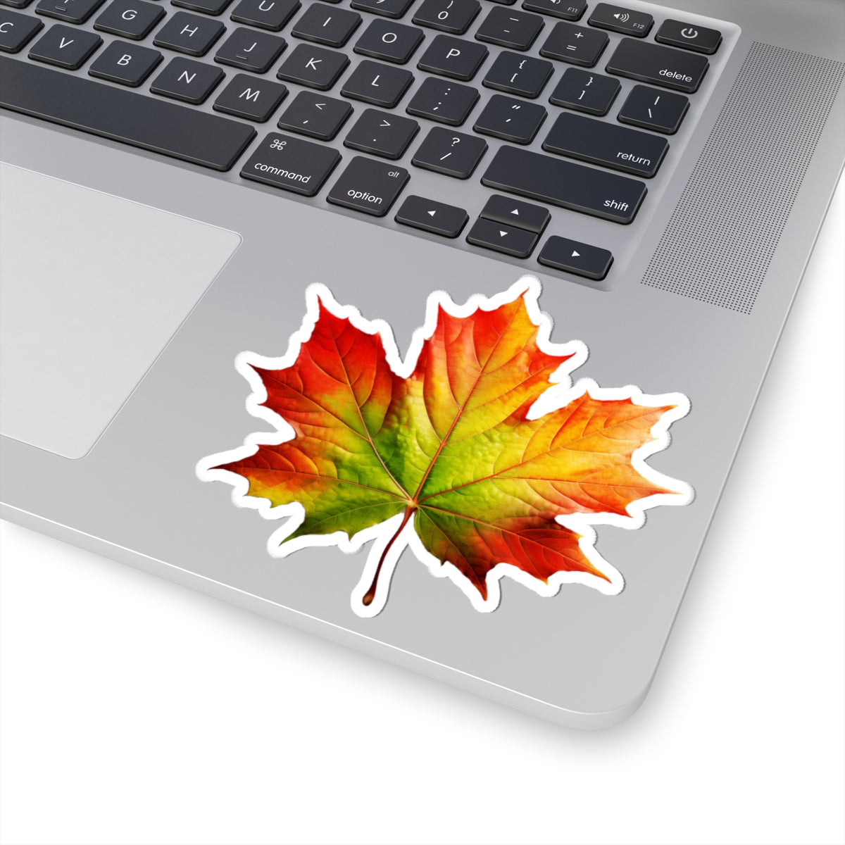 Ombre Maple Leaf Sticker