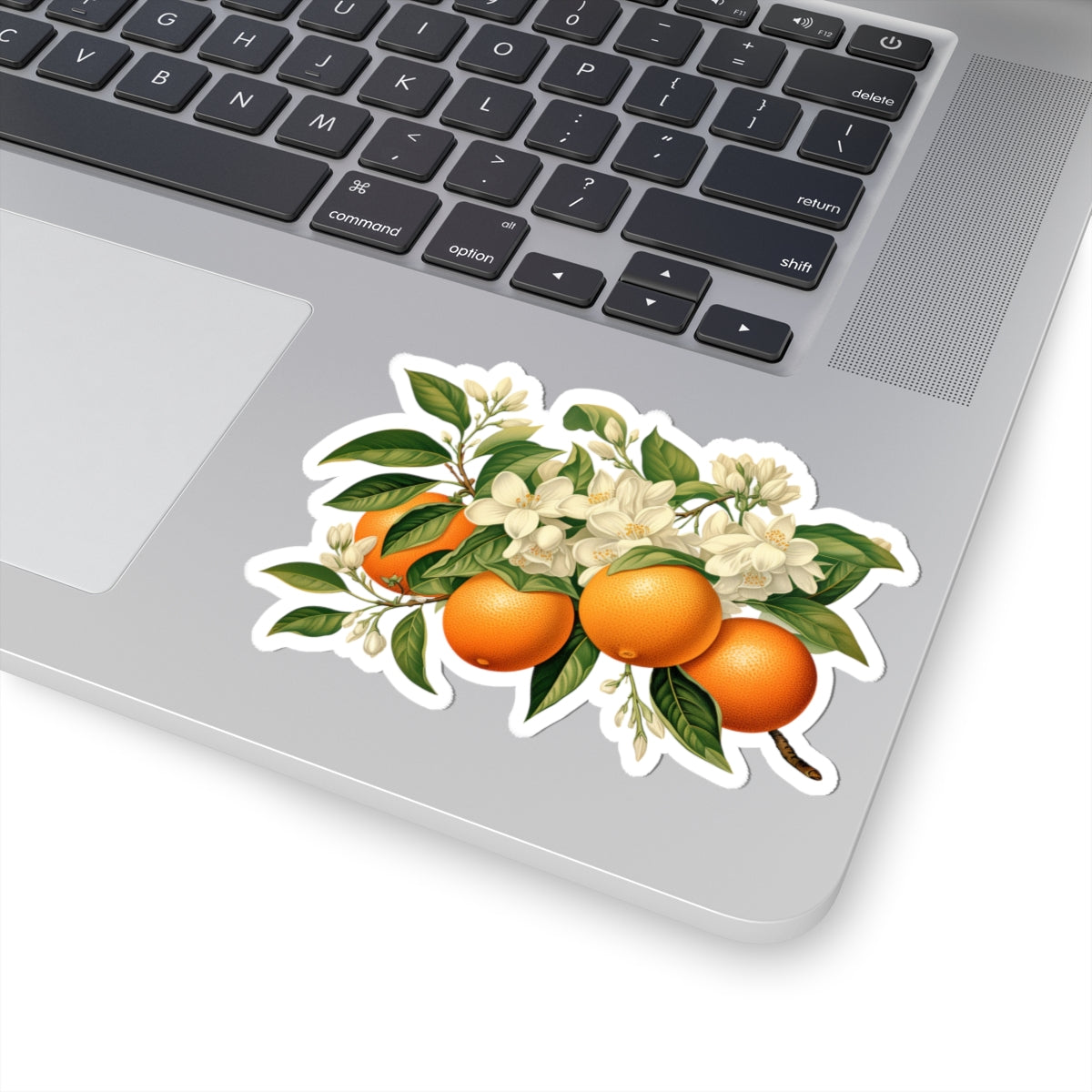 Oranges and Blossoms Sticker