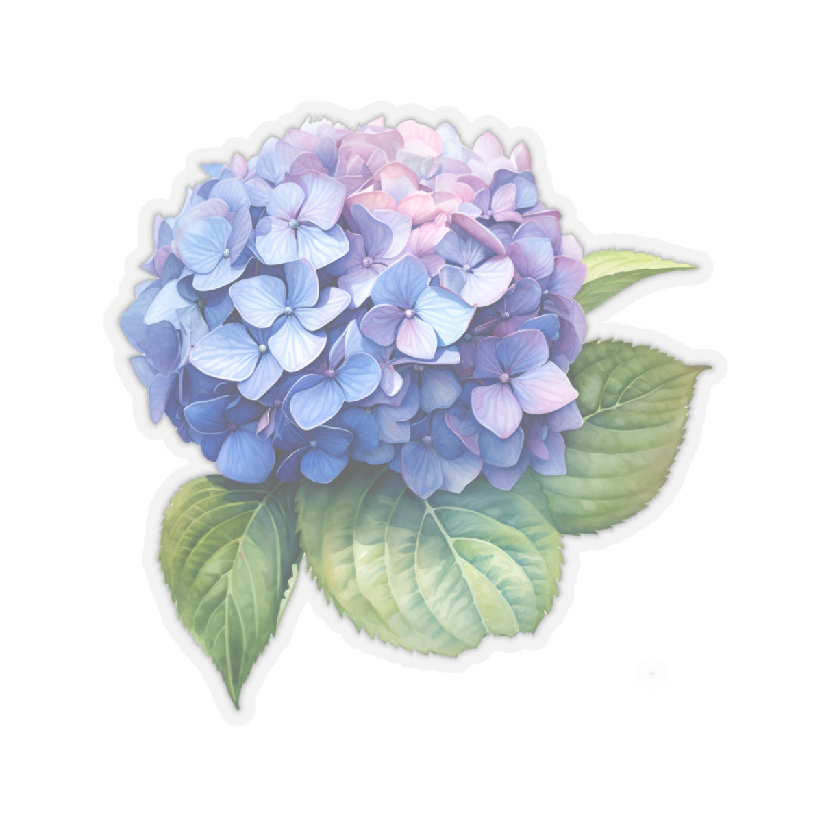 Hydrangea Sticker