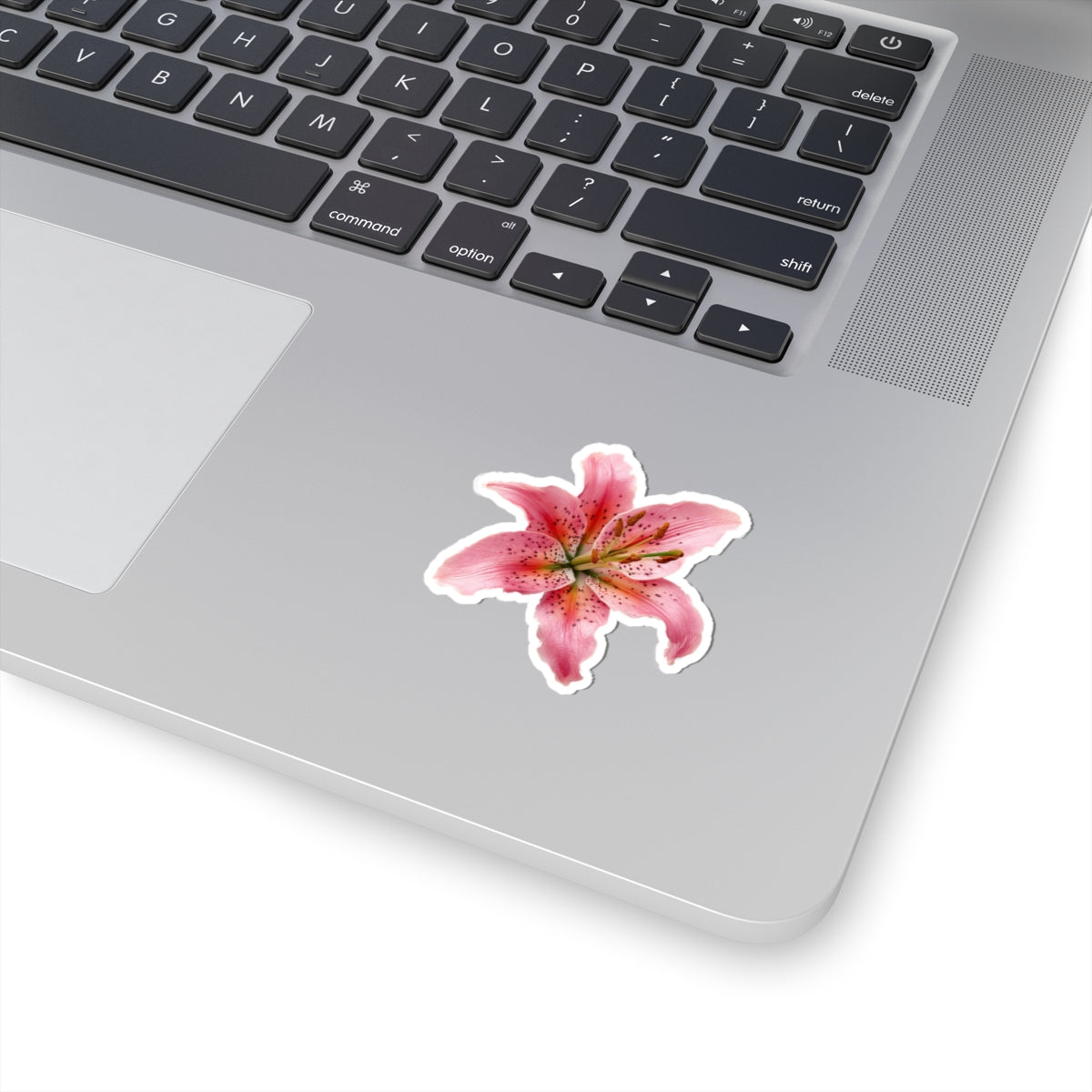 Pink Lily Sticker