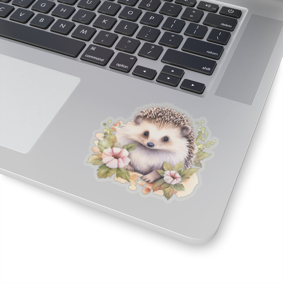 Hedgehog Sticker