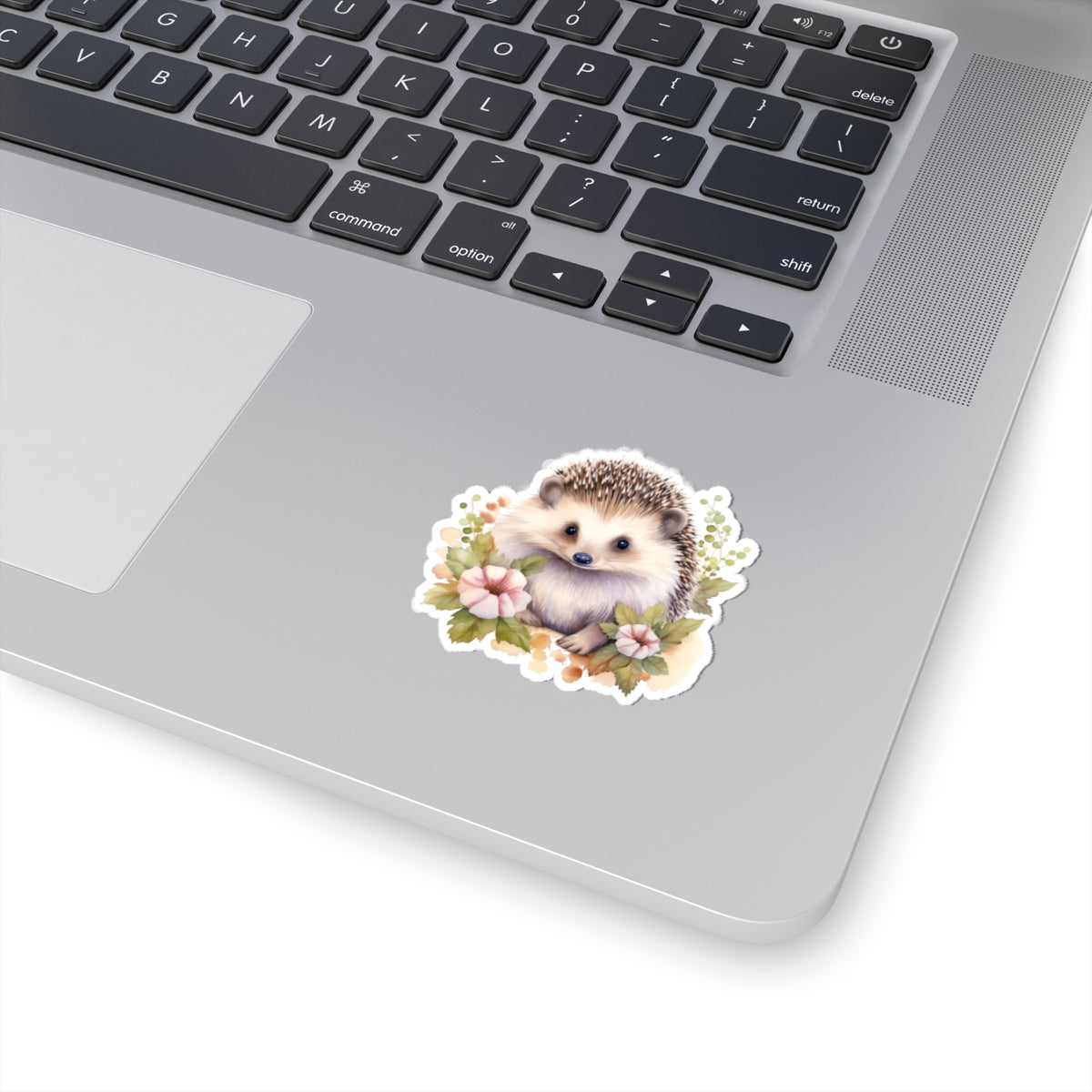 Hedgehog Sticker