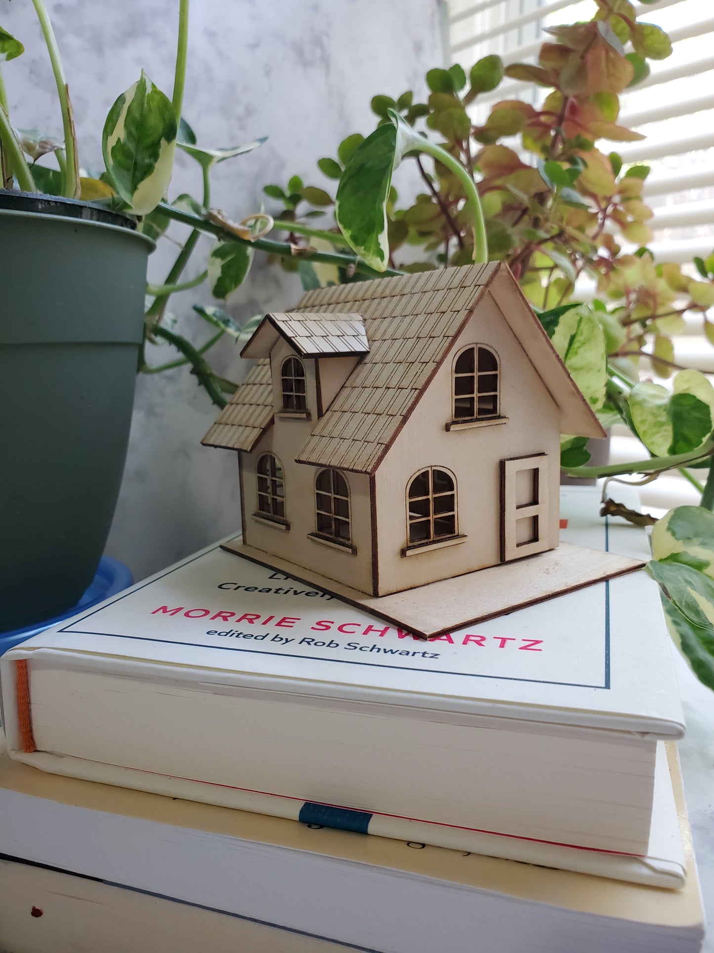 Miniature Fairy House – The Marigold Cottage | Plant Shelf Decor | Whimsical Laser-Cut DIY Tiny Home