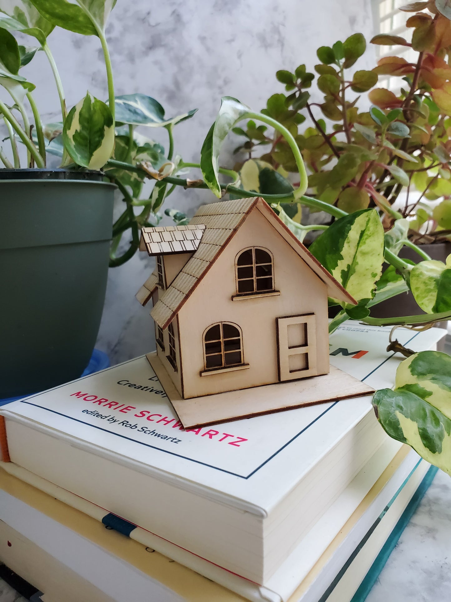 Miniature Fairy House – The Marigold Cottage | Plant Shelf Decor | Whimsical Laser-Cut DIY Tiny Home