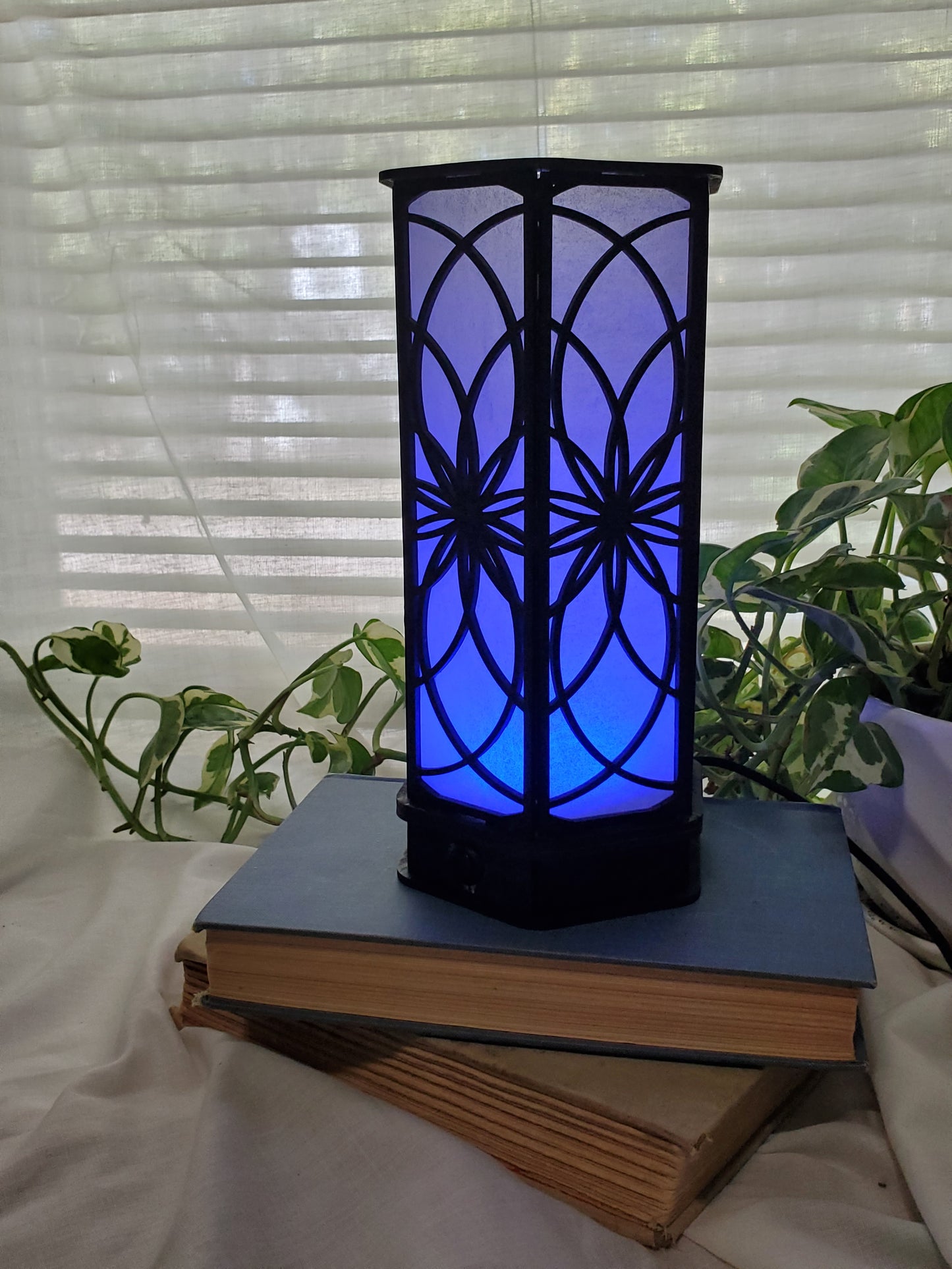Multicolor LED Luminary