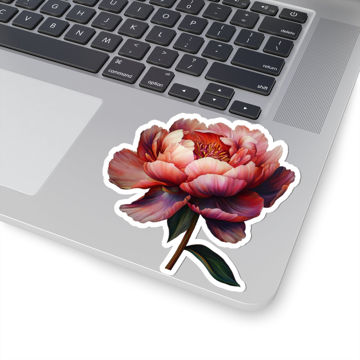 Peach Peony Sticker