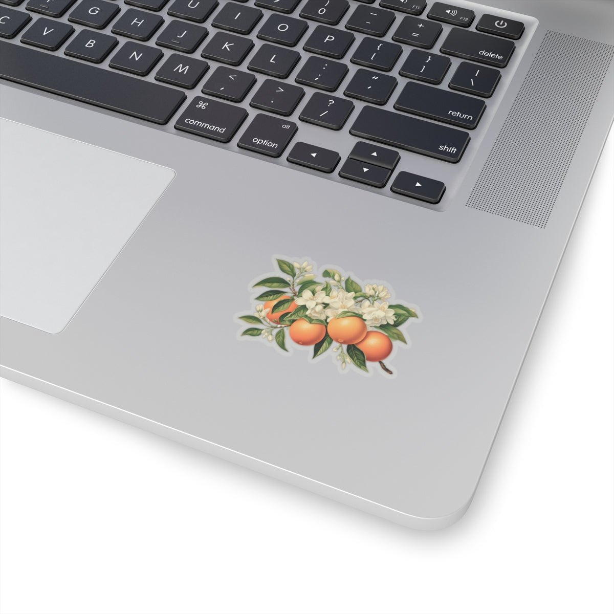 Oranges and Blossoms Sticker