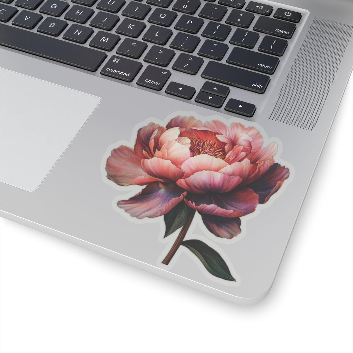 Peach Peony Sticker