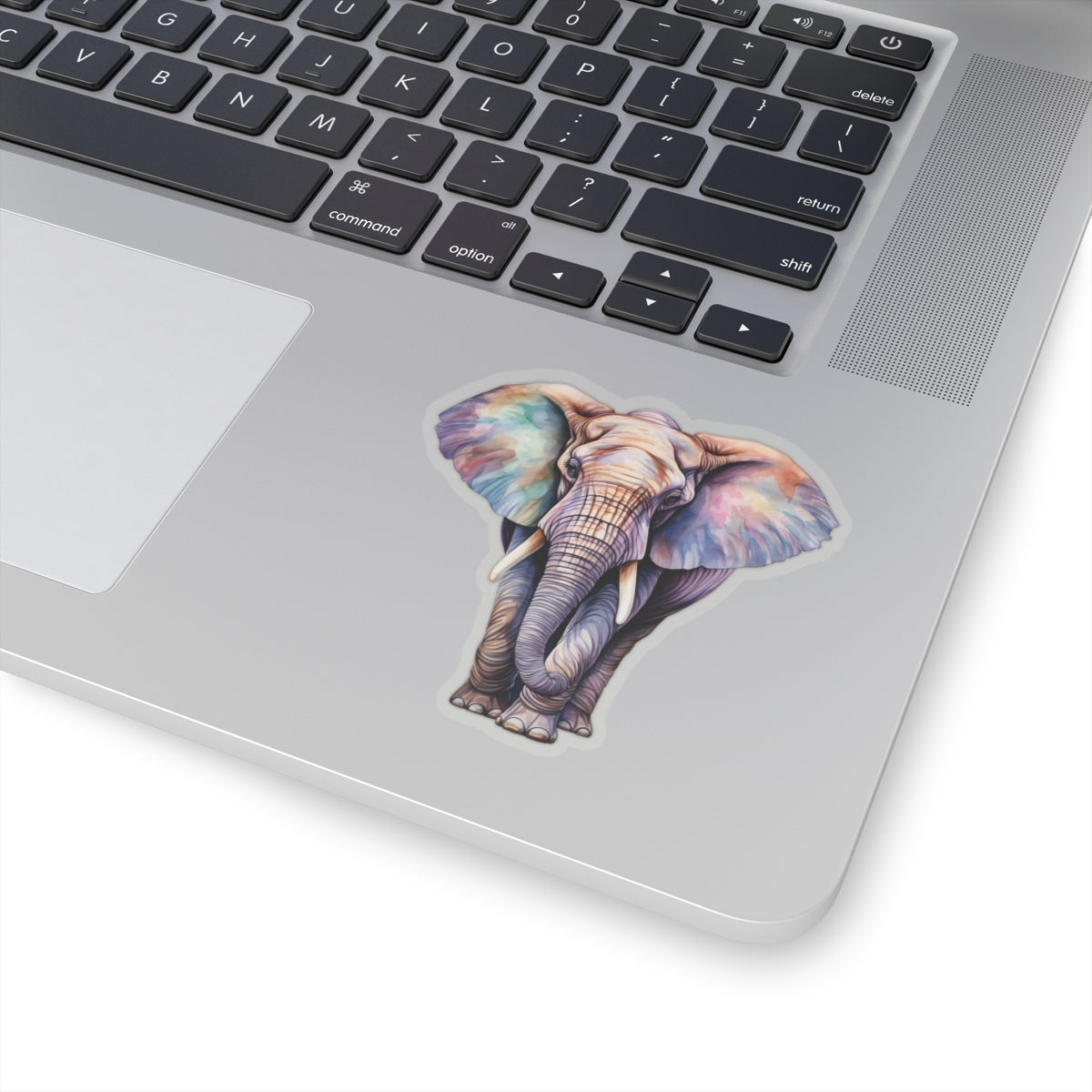 Elephant Sticker