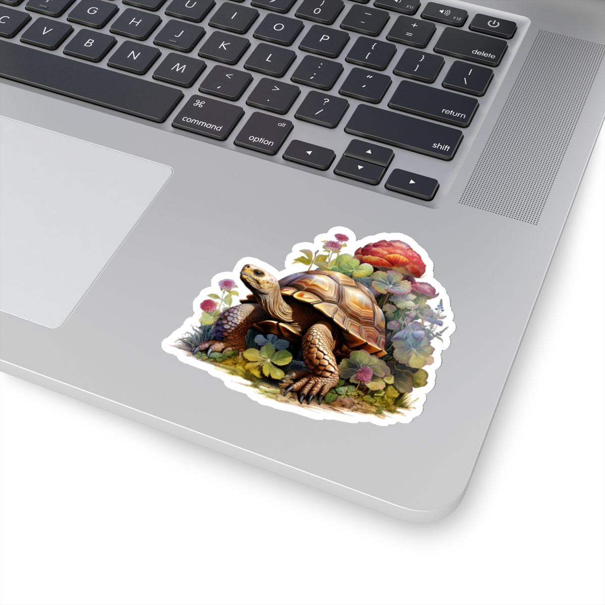 Tortoise Sticker