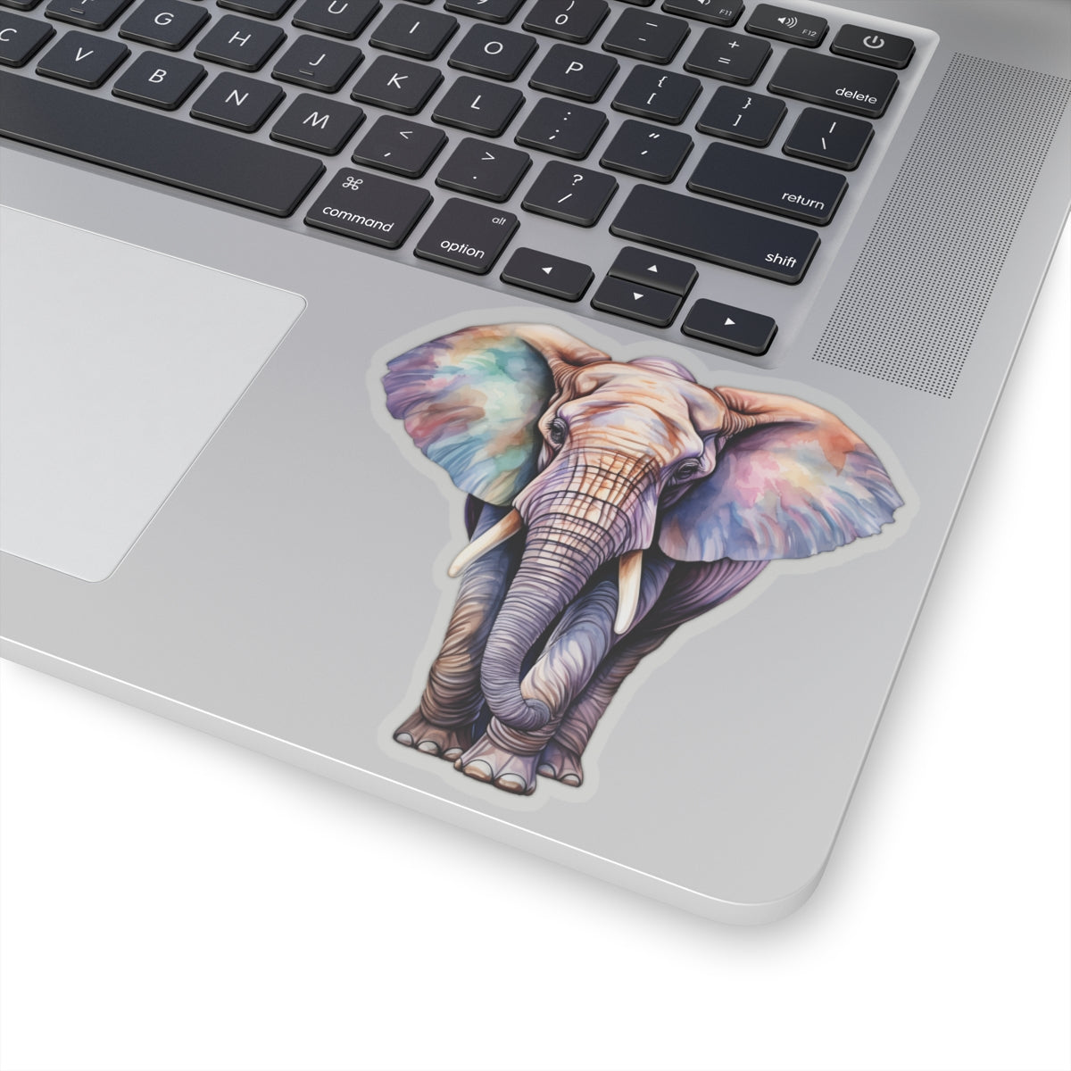 Elephant Sticker