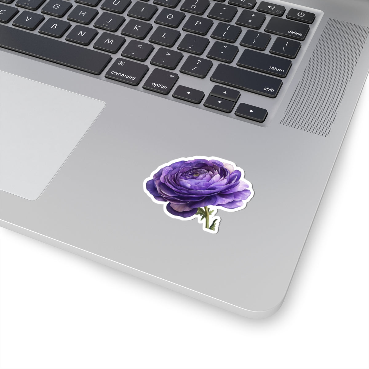 Purple Ranunculus Sticker