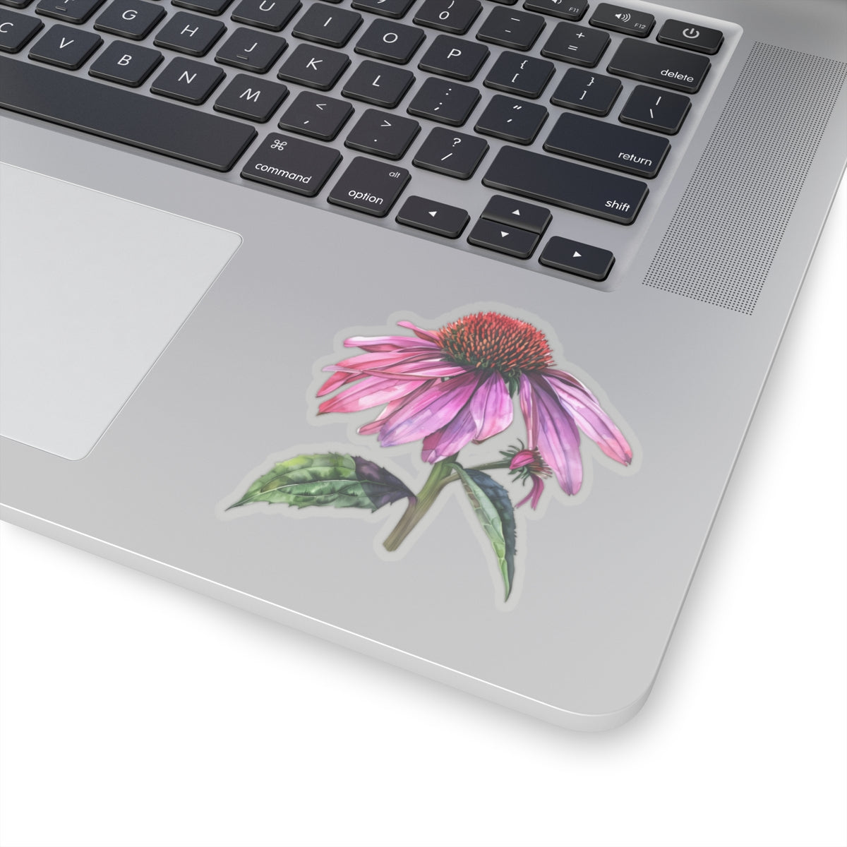 Echinacea Sticker