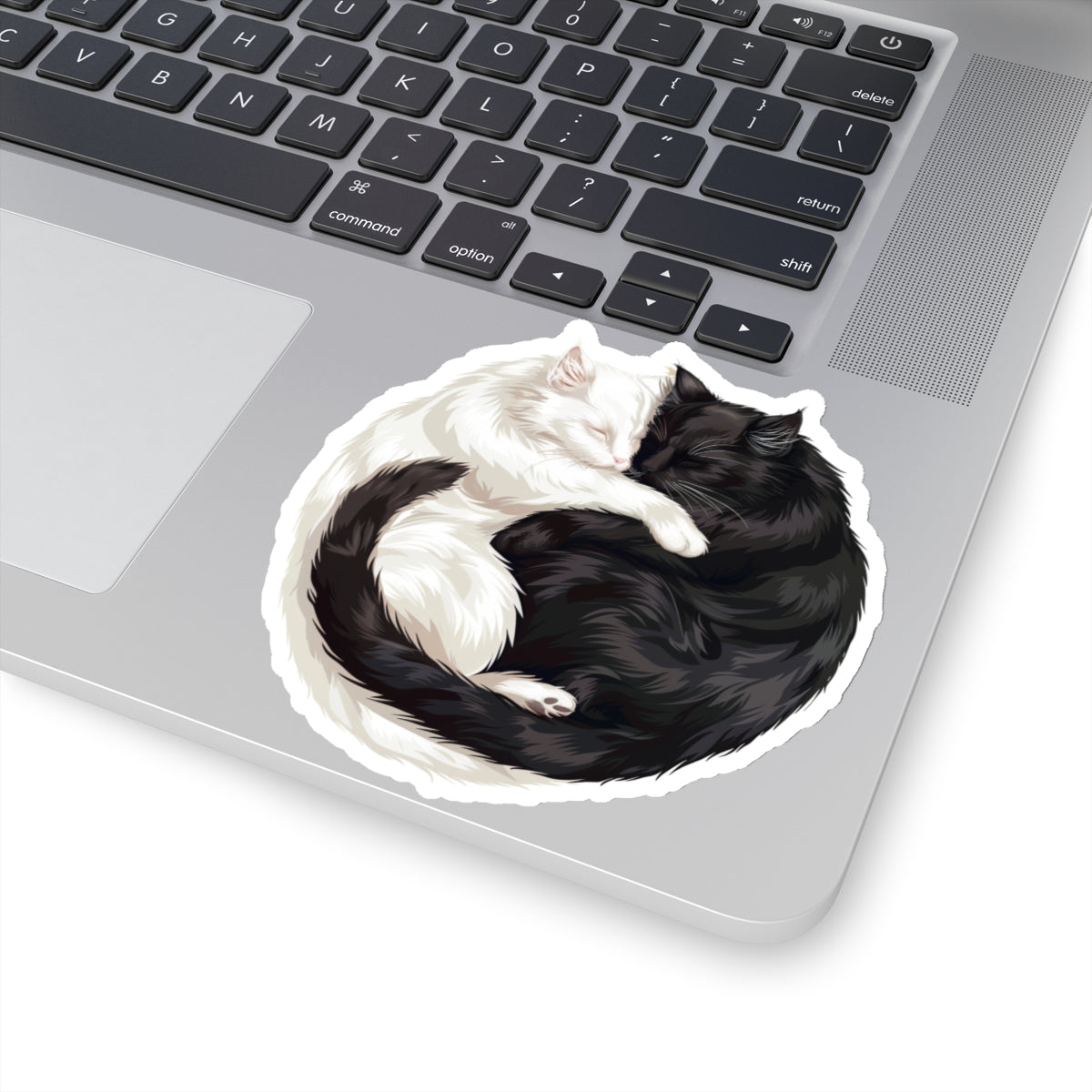 Black Cat and White Cat Sticker