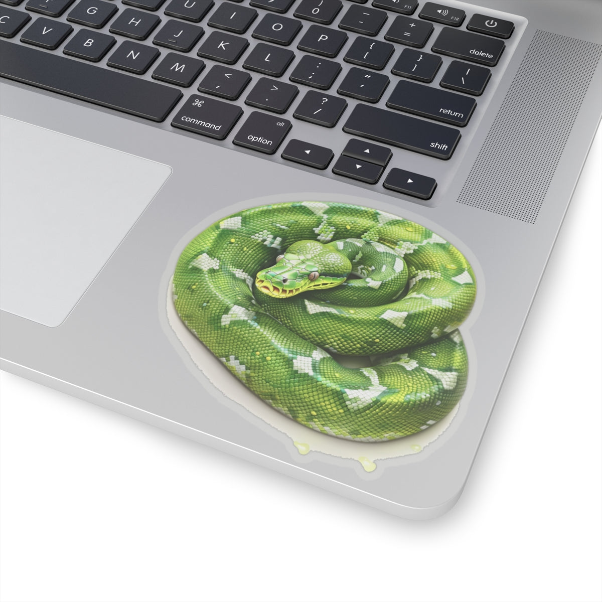 Green Snake Sticker