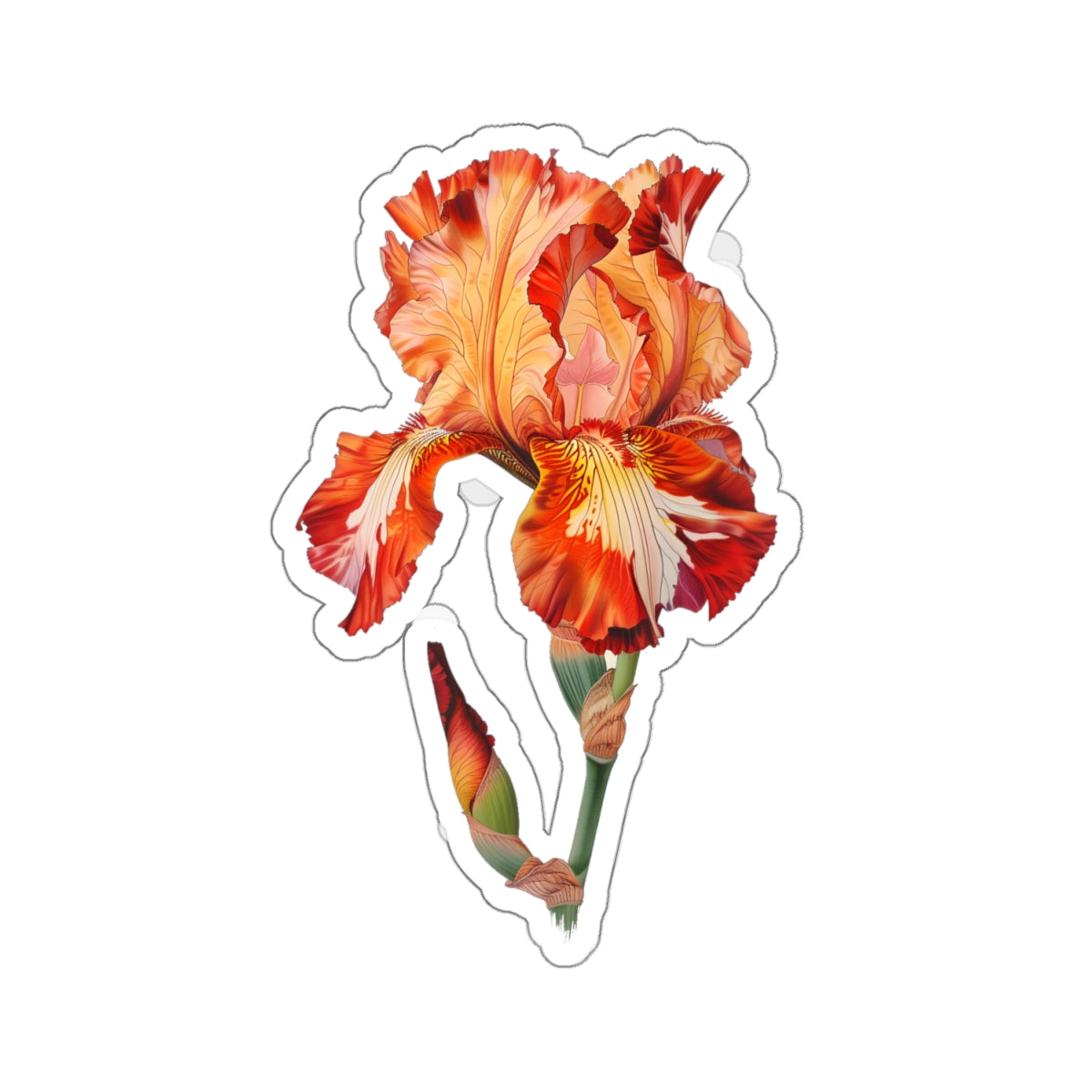 Red Iris Sticker