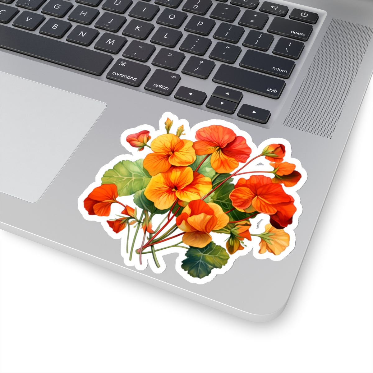 Nasturtium Flower Sticker