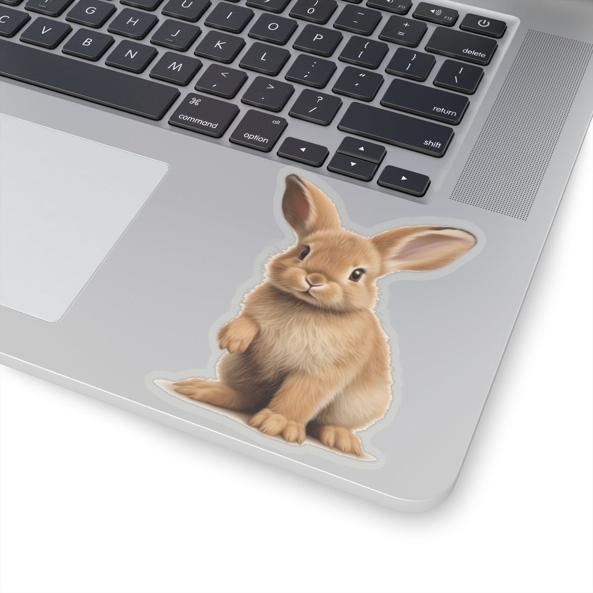 Baby Bunny Sticker