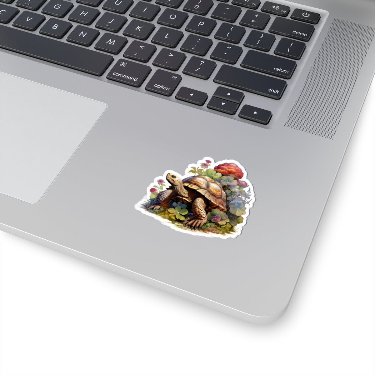 Tortoise Sticker