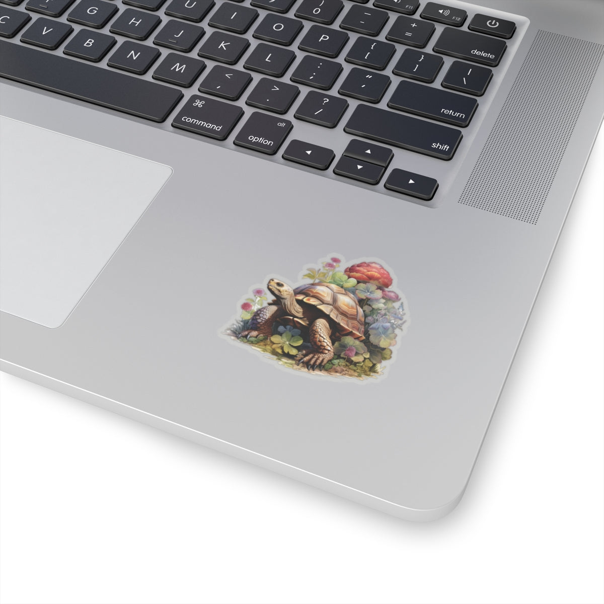 Tortoise Sticker