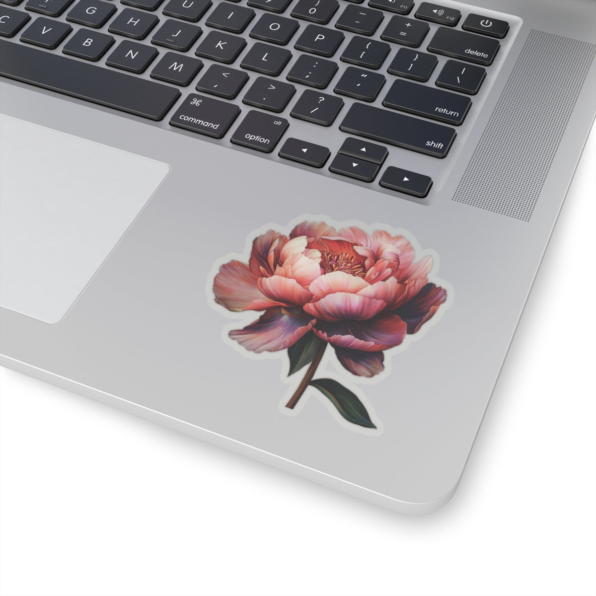 Peach Peony Sticker