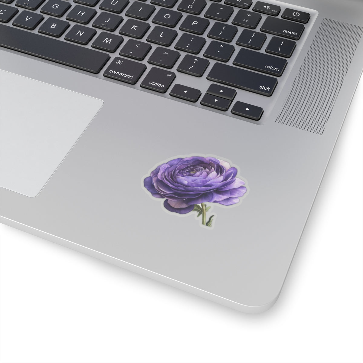 Purple Ranunculus Sticker