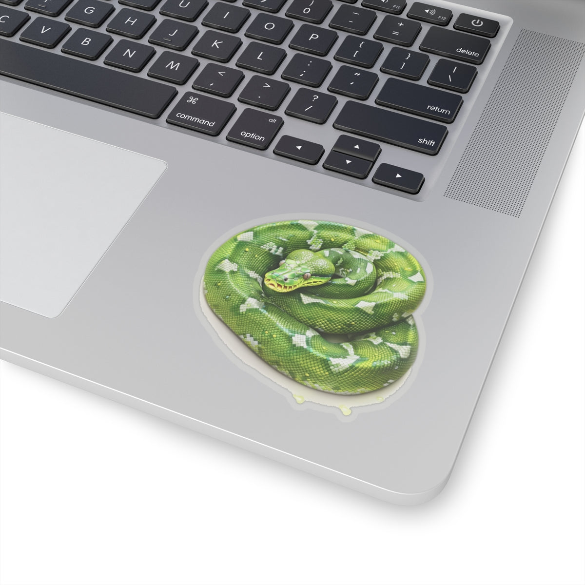 Green Snake Sticker