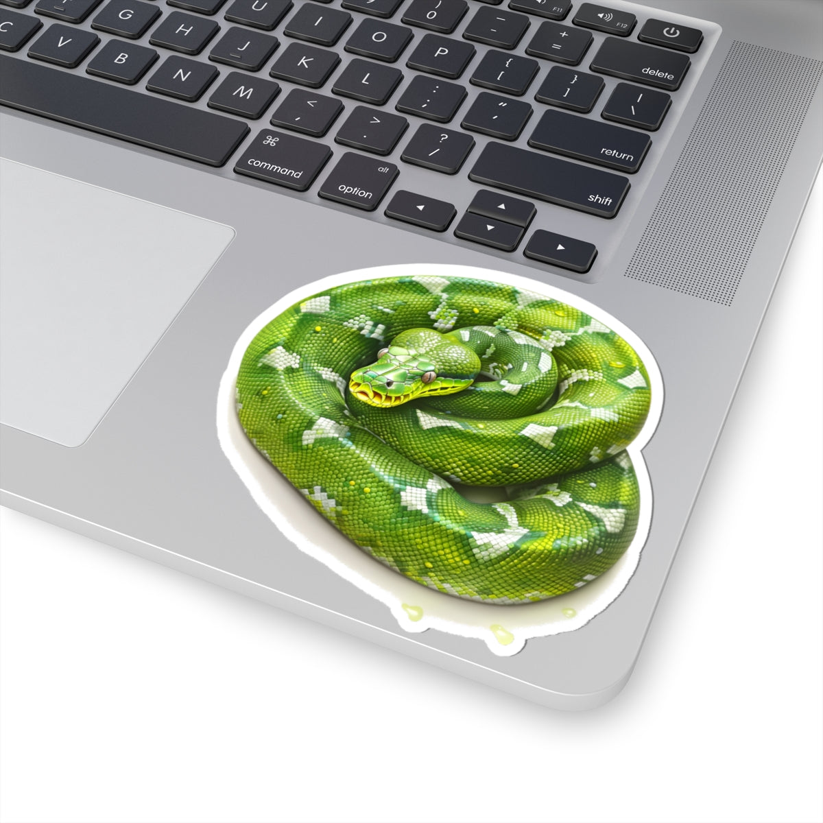 Green Snake Sticker