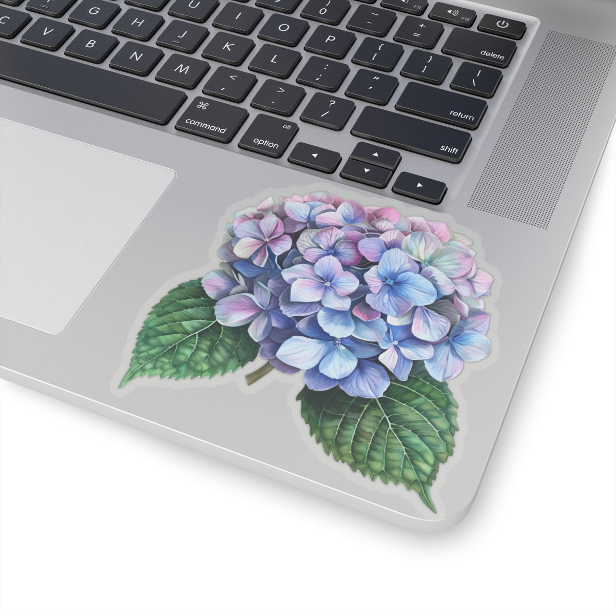 Hydrangea Sticker