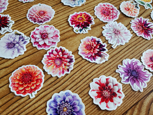 Dahlia Sticker Pack